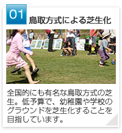 01 | 鳥取方式による芝生化　全国的にも有名な鳥取方式の芝生。低予算で、幼稚園や学校のグラウンドを芝生化することを目指しています。