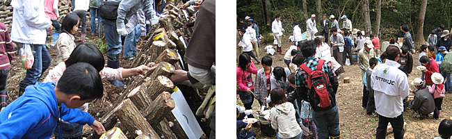 鳥取JCしいたけの森｣を開園