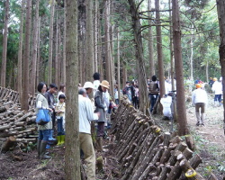 因幡のグリーン政策