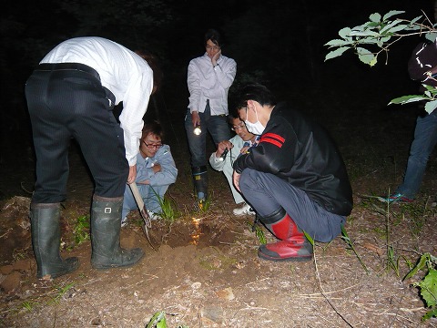 しいたけの森プロジェクト : 夜のしいたけの森は漆黒の闇! の巻