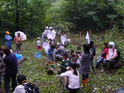 しいたけの森プロジェクト : 鳥取ＪＣしいたけの森プロジェクト『第２ 