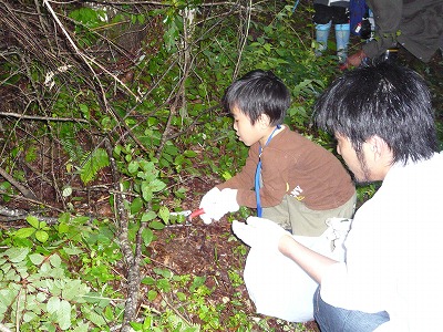 しいたけの森プロジェクト : 鳥取ＪＣしいたけの森プロジェクト『第２